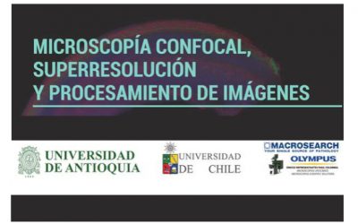 CURSO DE POSTGRADO EN LA UNIVERSIDAD DE ANTIOQUÍA, COLOMBIA