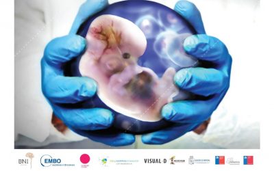 IMPORTANTES ACTIVIDADES EN EL WORKSHOP EMBO – ABRIL 2019
