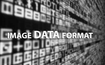 A GLOBAL VIEW OF STANDARDS FOR OPEN IMAGE DATA FORMATS AND REPOSITORIES