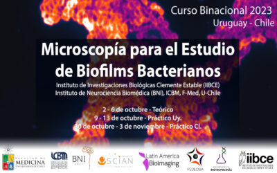 CURSO BINACIONAL – MICROSCOPIA PARA EL ESTUDIO DE  BIOFILMS BACTERIANOS